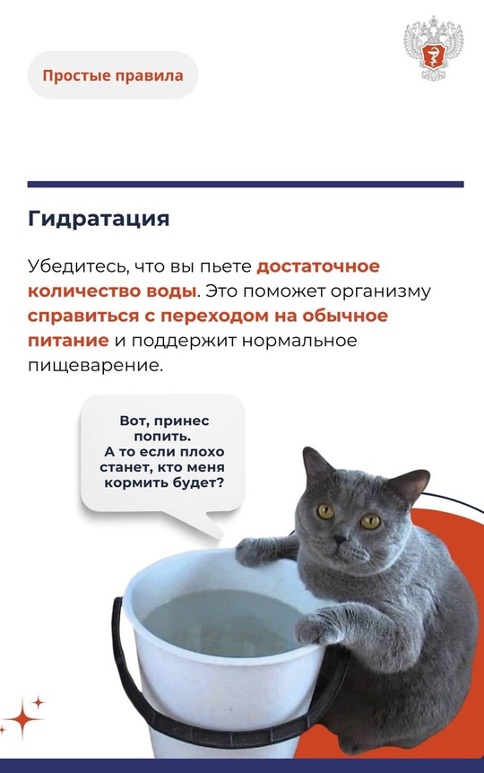 #ПростыеПравила: Как наладить питание после выхода из поста