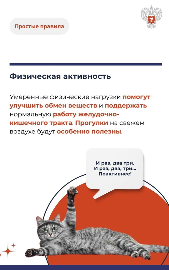 #ПростыеПравила: Как наладить питание после выхода из поста