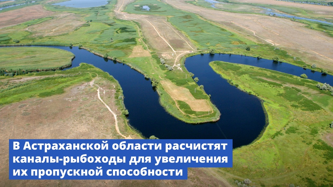 На проведение мероприятий по рыбохозяйственной мелиорации правительство выделит более 400 млн рублей