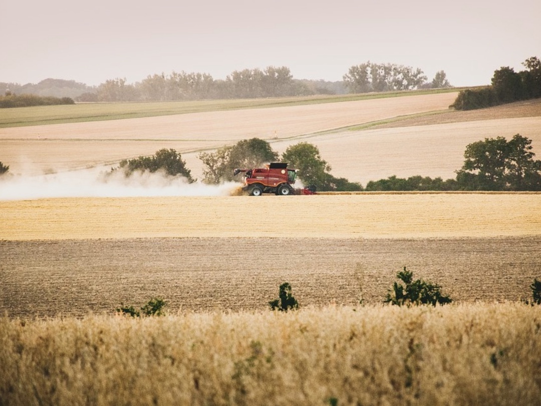 Самое интересное за неделю с 14 по 20 апреля