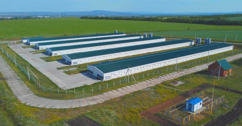 «СоюзПромПтица» отчиталось об итогах деятельности