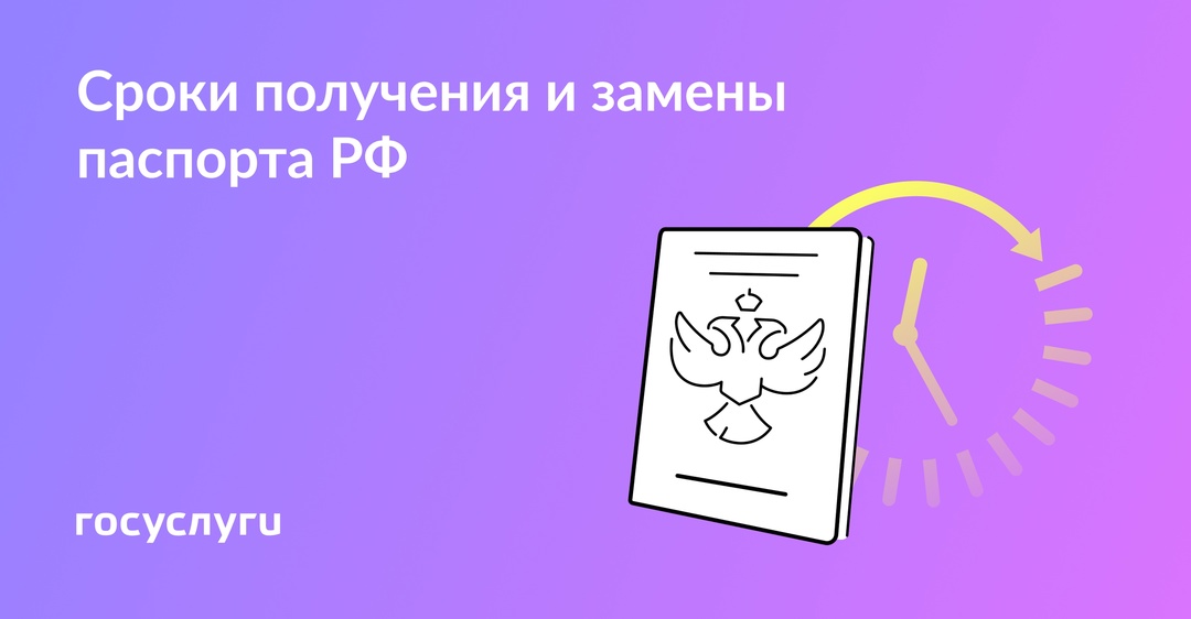 Сколько времени дается на получение и замену паспорта