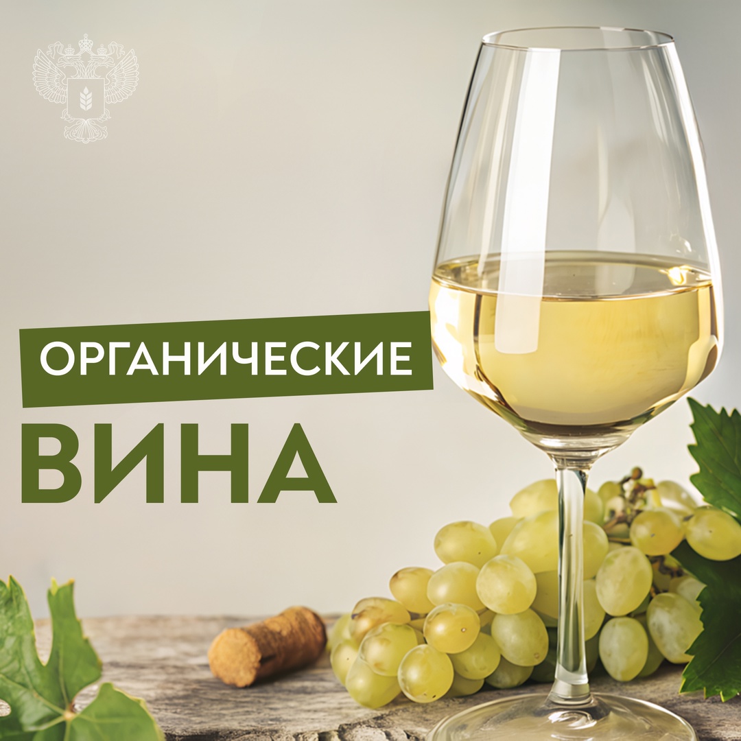 Виноделие с зеленым листком Эксперты «Винного гида России» подвели итоги исследования отечественных органических вин.