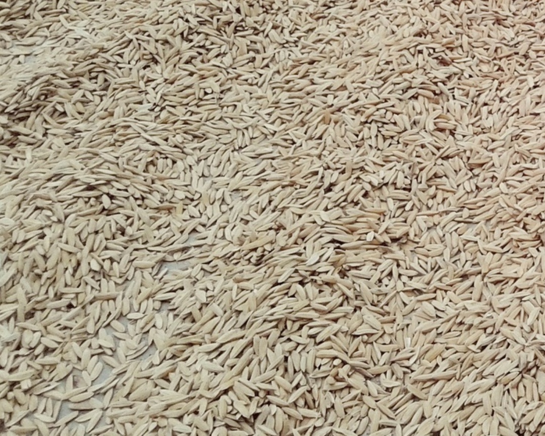 Подкомиссия правительственной комиссии по экономическому развитию и интеграции поддержала инициативу Минсельхоза продлить временный запрет на вывоз…