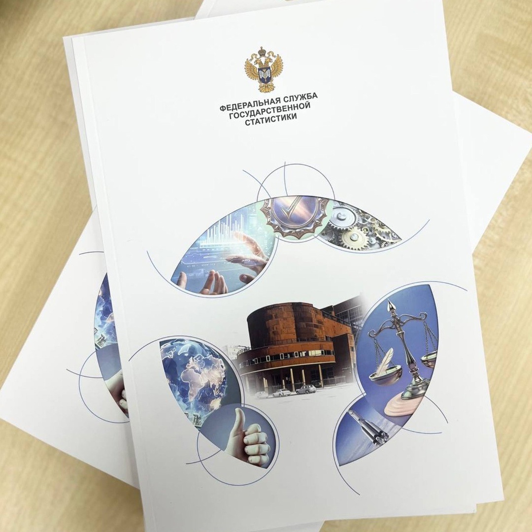 Пересобрать и сформировать рынок данных – главная задача Росстата