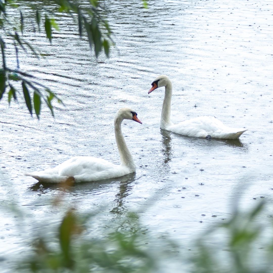 «В городе на Дальнем Востоке, где я вырос, был нефтеперерабатывающий завод, который снабжал топливом автомобилистов