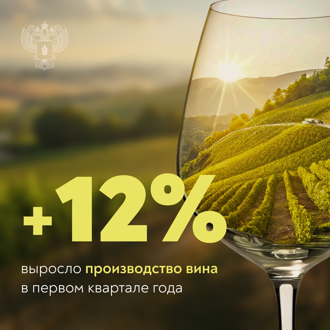 Больше тихих и игристых За первый квартал года российские виноделы произвели более 12 млн декалитров вина.