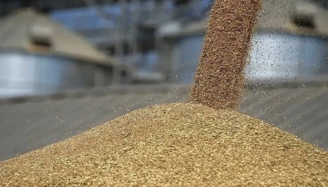 Минсельхоз установил минимальные предельные цены, при достижении которых в 2025/26 сельхозгоду будут проводиться закупочные зерновые интервенции, а также…