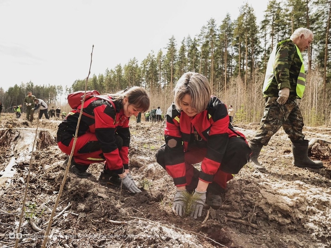 Сохраним память и природу вместе с «Русагро Масло»