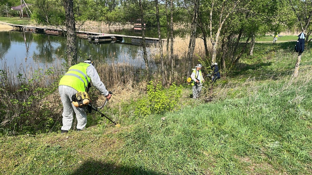 В рамках «Недели охраны труда» в сахарном бизнес-направлении состоялся субботник в водоохранной зоне Никифоровского района.