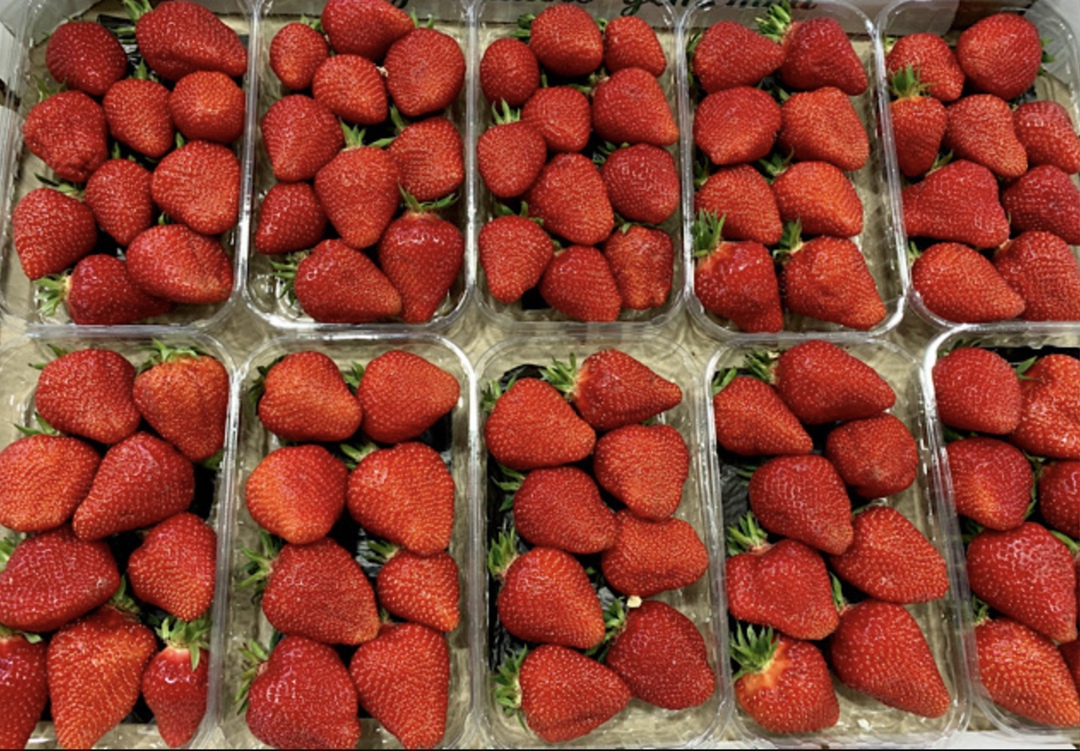 Розничная цена крымской клубники сохранилась на уровне 2024 года, сообщил ТАСС министр сельского хозяйства Крыма Денис Кратюк. Клубника начала поступать в…