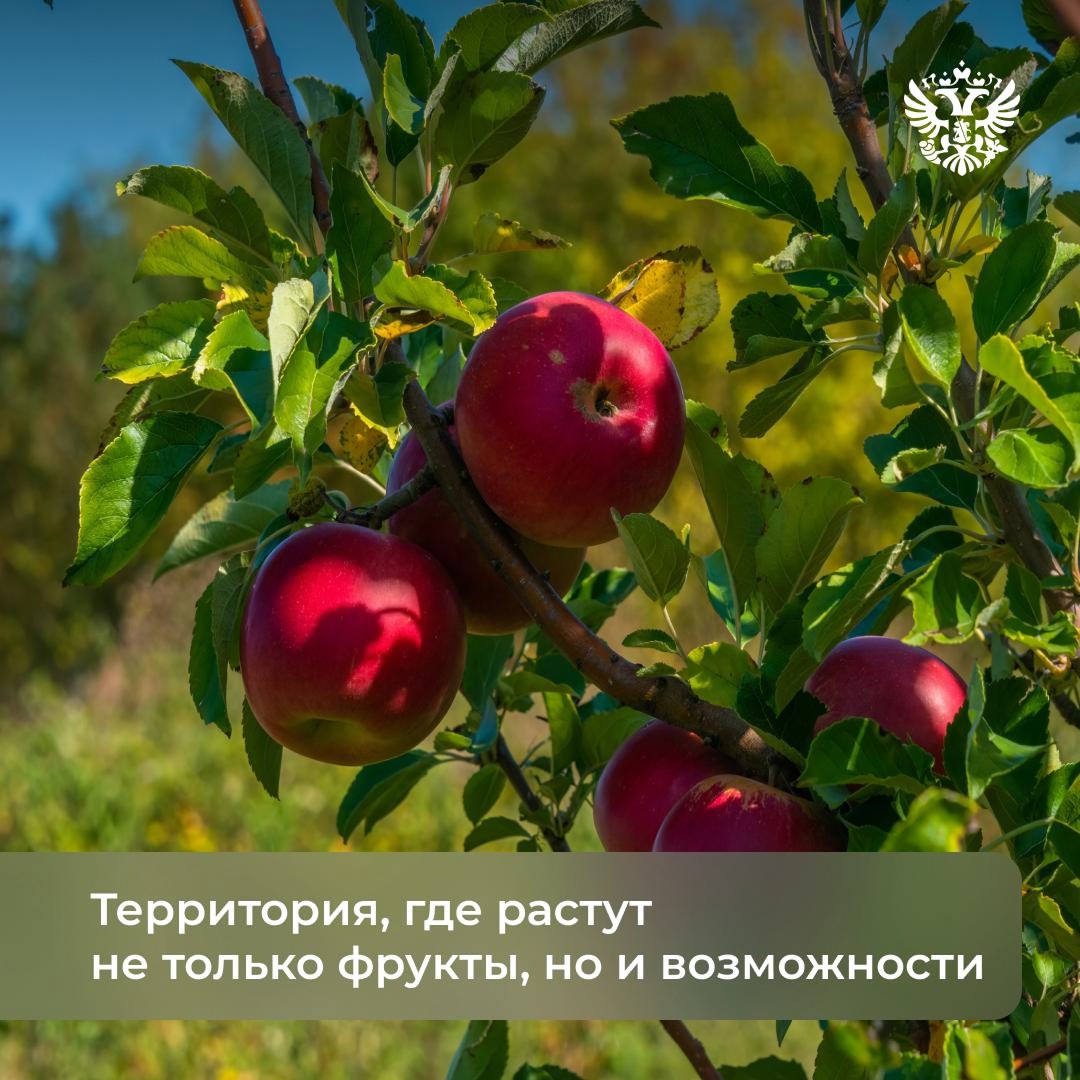 Гостеприимство на Кавказе — не просто традиция, а священный закон