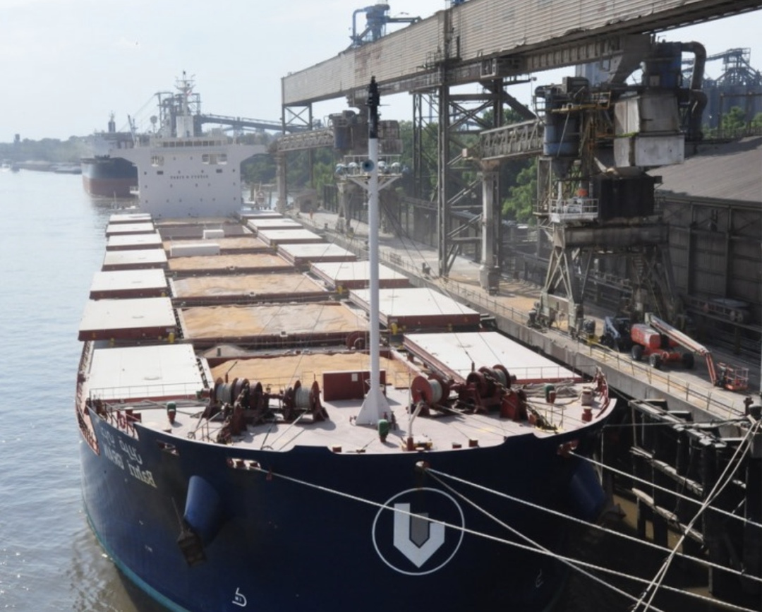 Экспортные цены на российскую пшеницу с протеином 12,5% с поставкой в апреле-мае на прошлой неделе снизились на $1, до $249/т FOB. Цены на пшеницу нового…