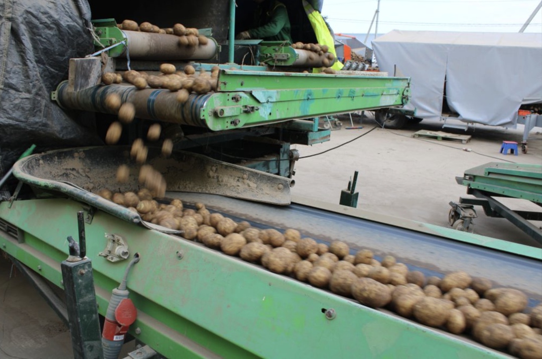 Поставки картофеля из Китая в Россию по итогам первого квартала составили почти $11 млн, что в 25 раз больше, чем годом ранее ($432,9 тыс.), сообщил…