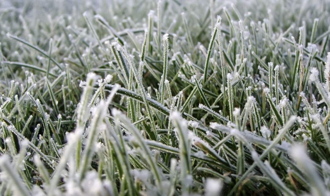 Оценивать влияние заморозков, которые наблюдаются в ряде регионов, на состояние посевов озимых культур и садов пока рано, сказал на пресс-конференции научный…