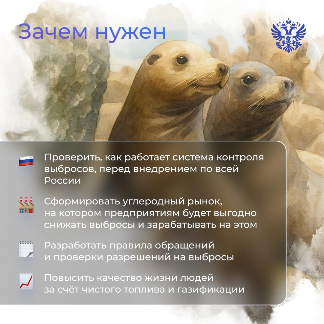 Если после ремонта у вас остались стройматериалы, их можно выбросить, отложить до следующего раза или… продать