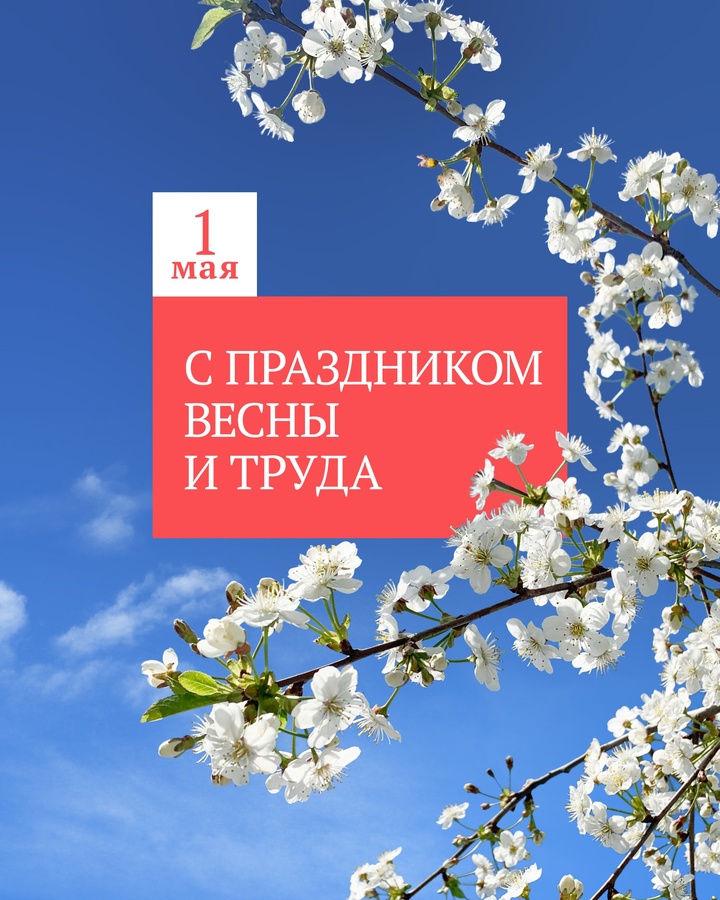 С Первым мая! Председатель Государственной Думы Вячеслав Володин поздравил граждан России с Праздником Весны и Труда