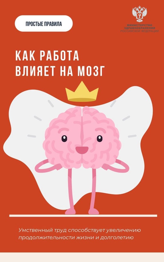 #ПростыеПравила: Как работа и умственная активность влияют на мозг