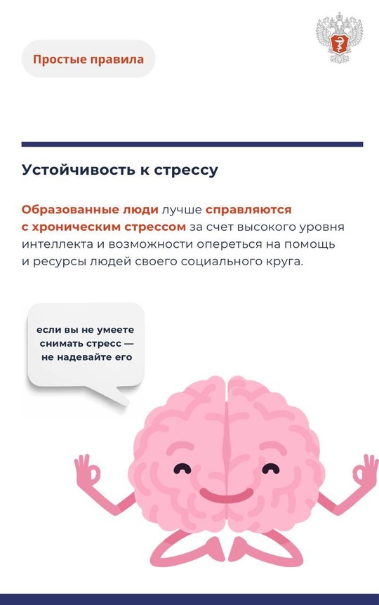 #ПростыеПравила: Как работа и умственная активность влияют на мозг