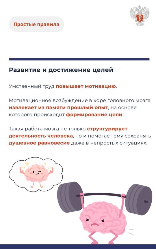 #ПростыеПравила: Как работа и умственная активность влияют на мозг