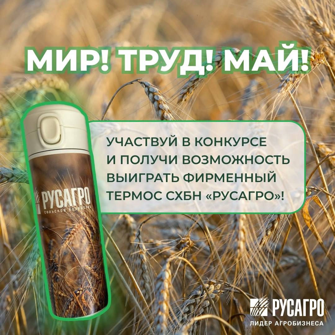 Сегодня мы отмечаем праздник, который объединяет труд и весну — День труда