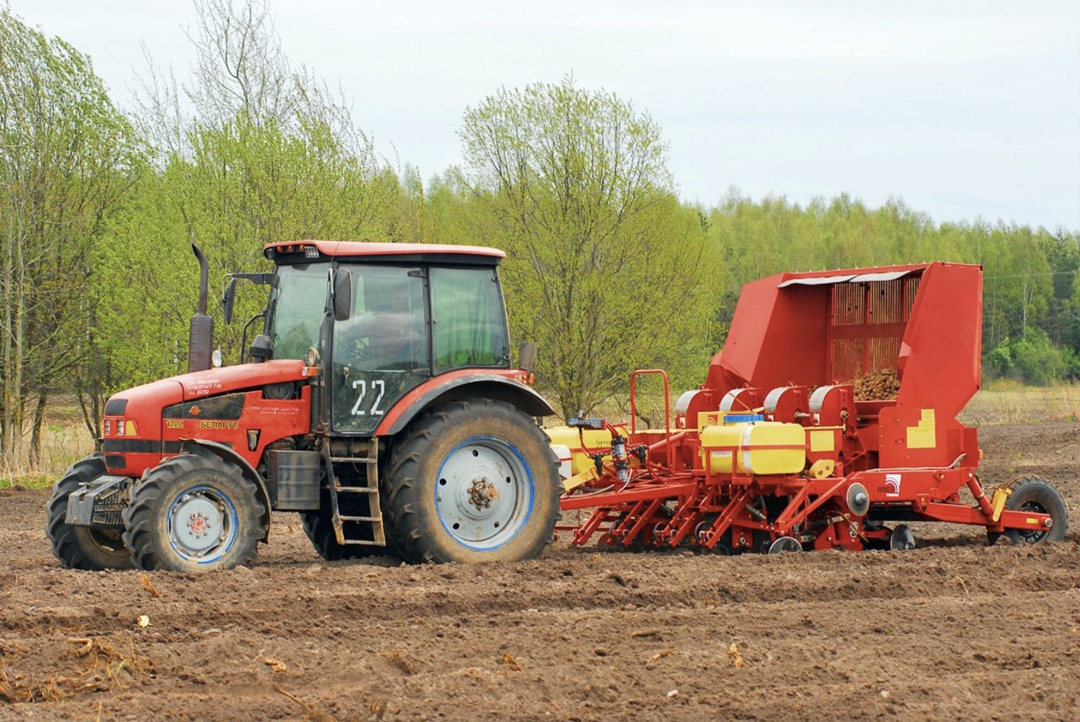 К концу апреля картофель в товарном секторе был посажен примерно на 20% от запланированных 286 тыс. га, пишет поле рф со ссылкой на исполнительного директора…