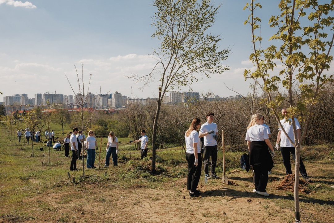 Дань памяти героям К 80-летию Победы сотрудники «ВНИКТИнефтехимоборудование» высадили 80 саженцев серебристого клёна на главной высоте России.