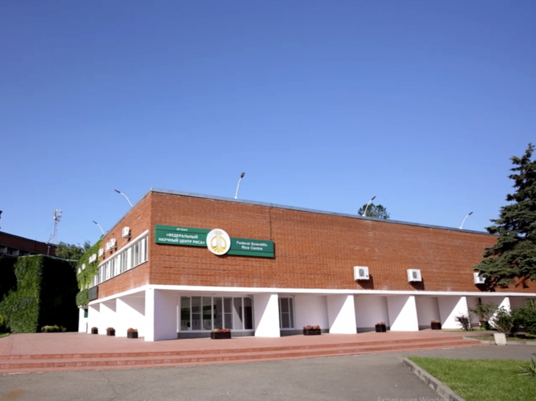 Федеральный научный центр риса стал резидентом агробиотехнопарка Ruseed