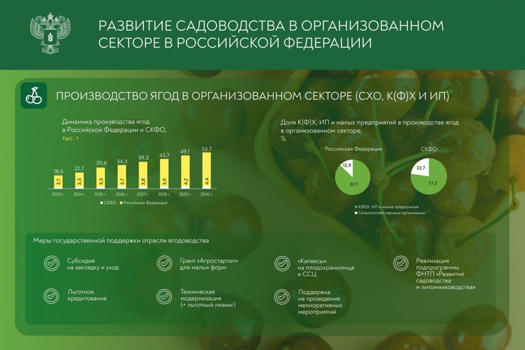Россия наращивает производство ягод и фруктов. Михаил Мишустин ознакомился с планами развития садоводства