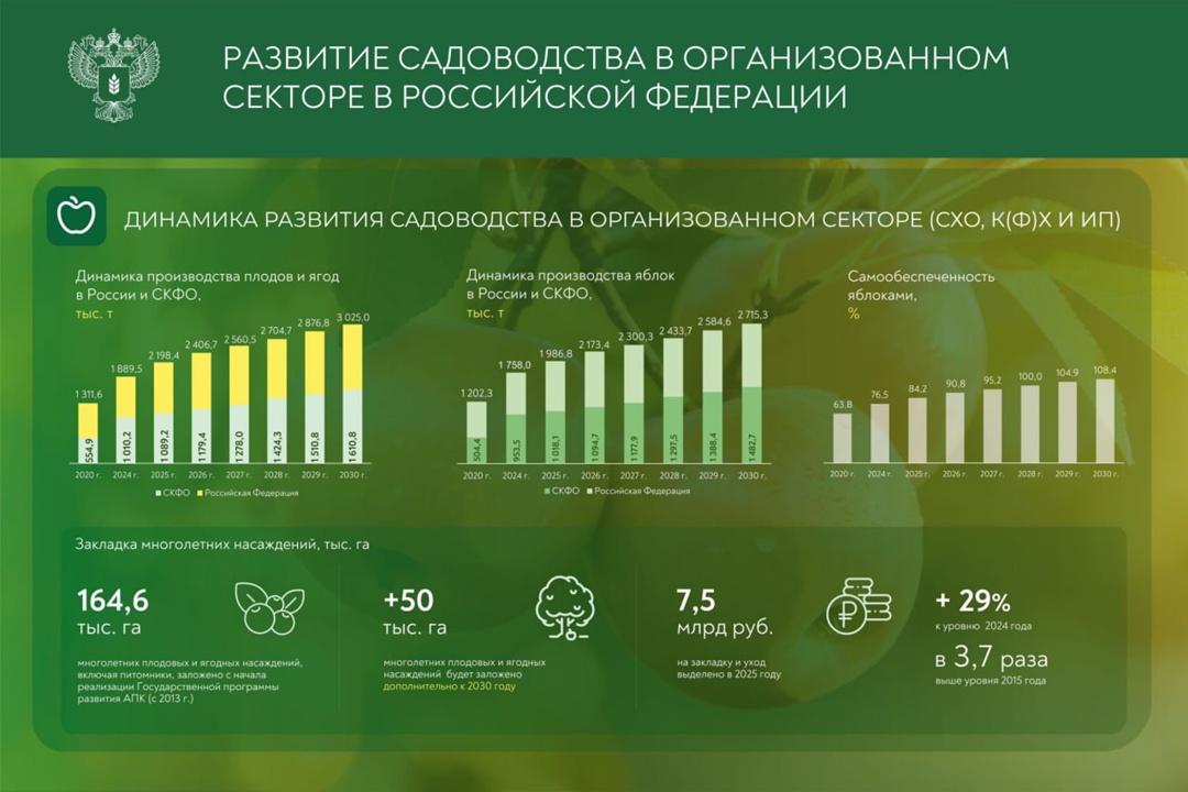 Россия наращивает производство ягод и фруктов. Михаил Мишустин ознакомился с планами развития садоводства