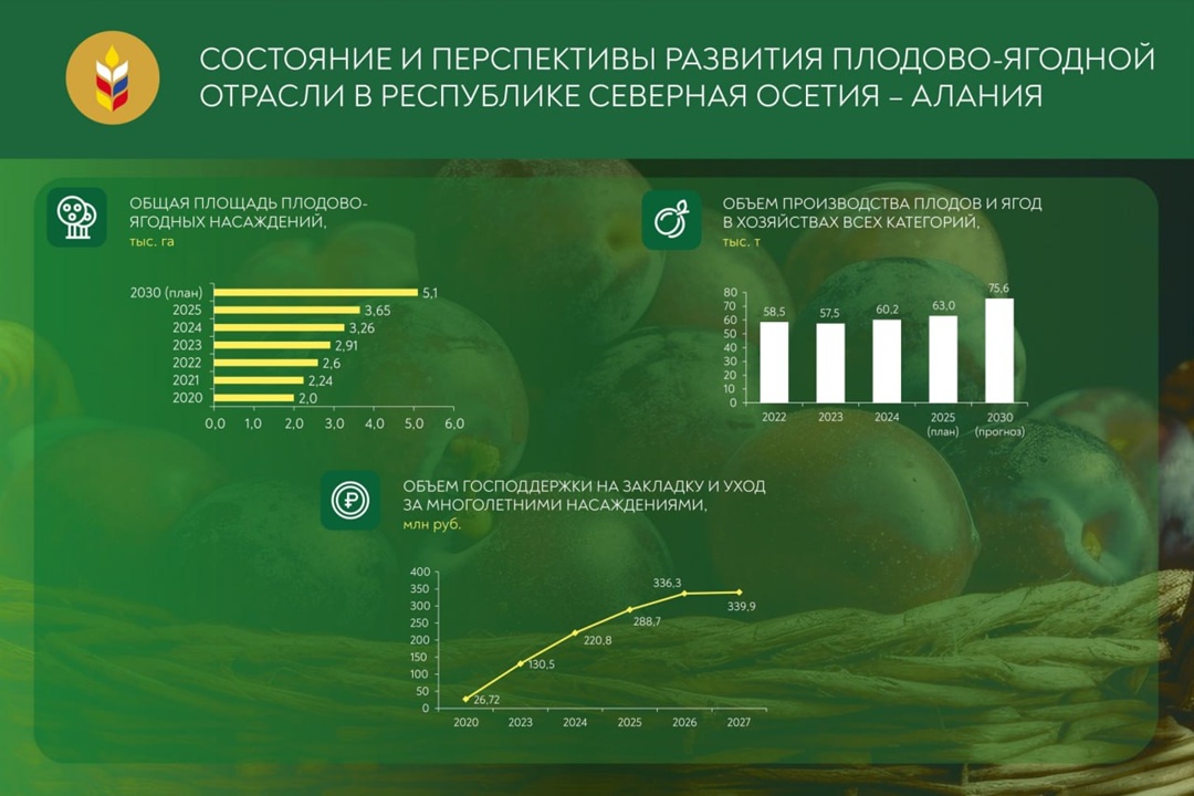 Россия наращивает производство ягод и фруктов. Михаил Мишустин ознакомился с планами развития садоводства