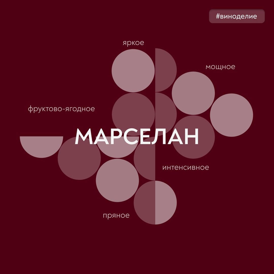 Виноград с любовью! Сегодня в совместной с «Винным гидом России» рубрике – сорт с необычной историей, марселан.