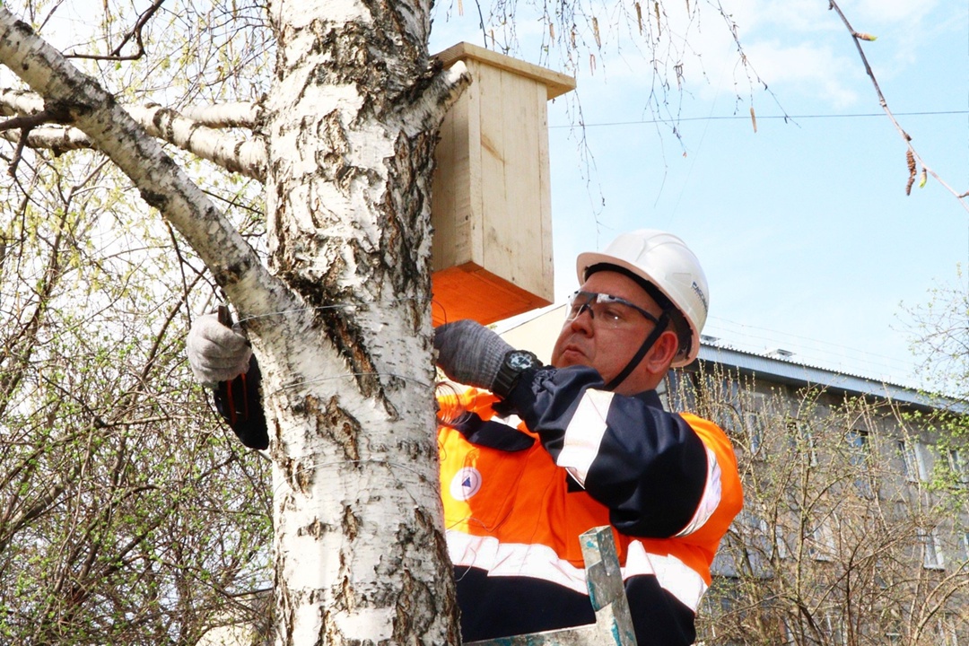 Домики для пернатых У нас есть добрая весенняя традиция – мастерить и развешивать скворечники