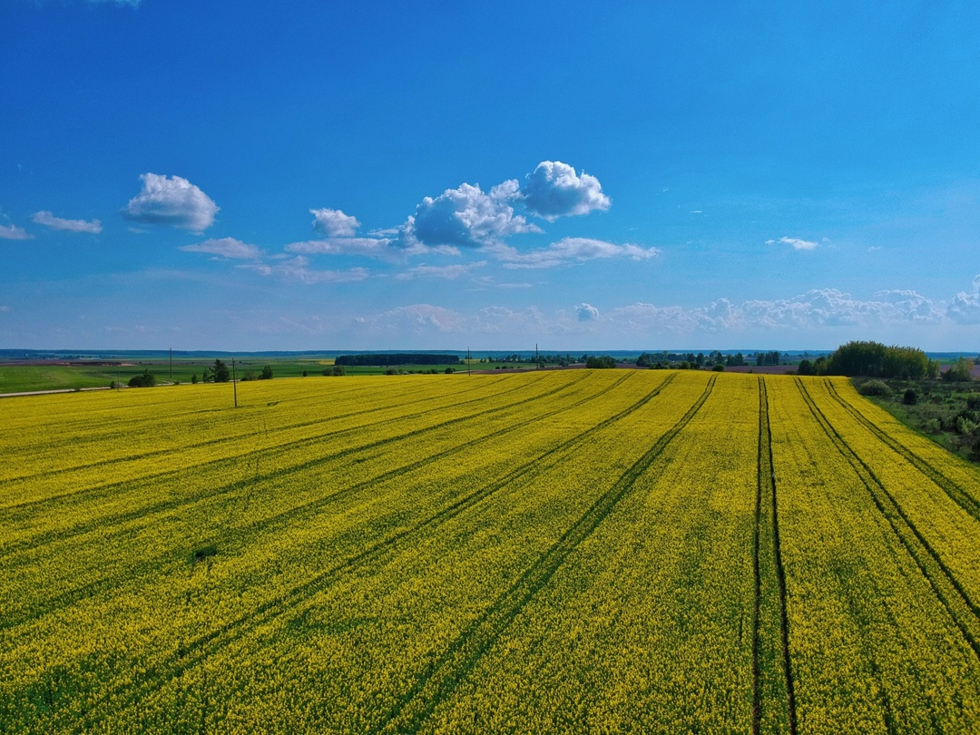 «Херсонская зерновая компания» и «АТФ-Капитал» в начале 2026 года планируют создать в Херсонской области агрохолдинг с земельным банком минимум 50 тыс