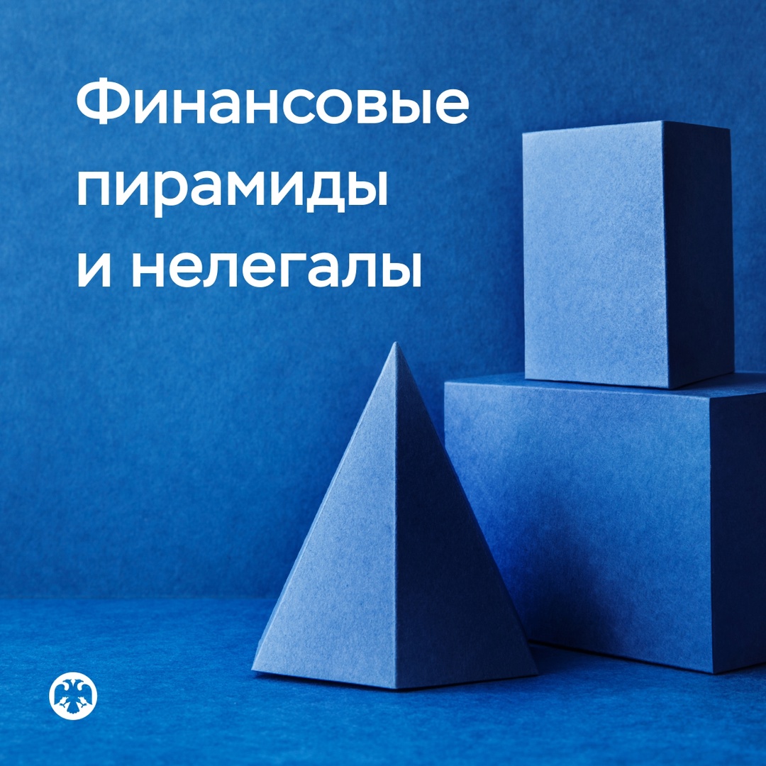 Статистика по финансовым пирамидам и нелегалам