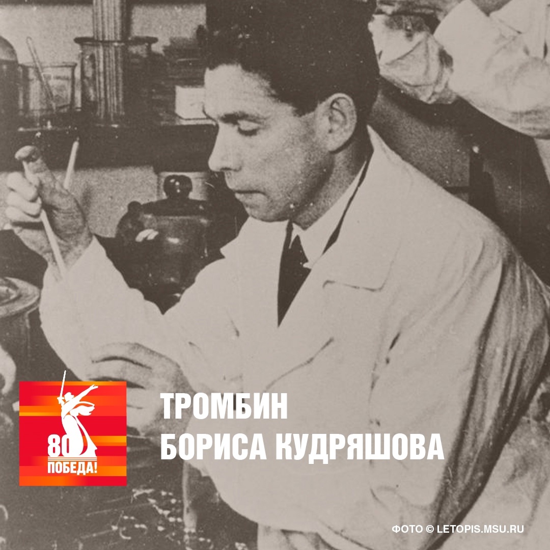 Тромбин — это фермент, играющий ключевую роль в процессе свертывания крови