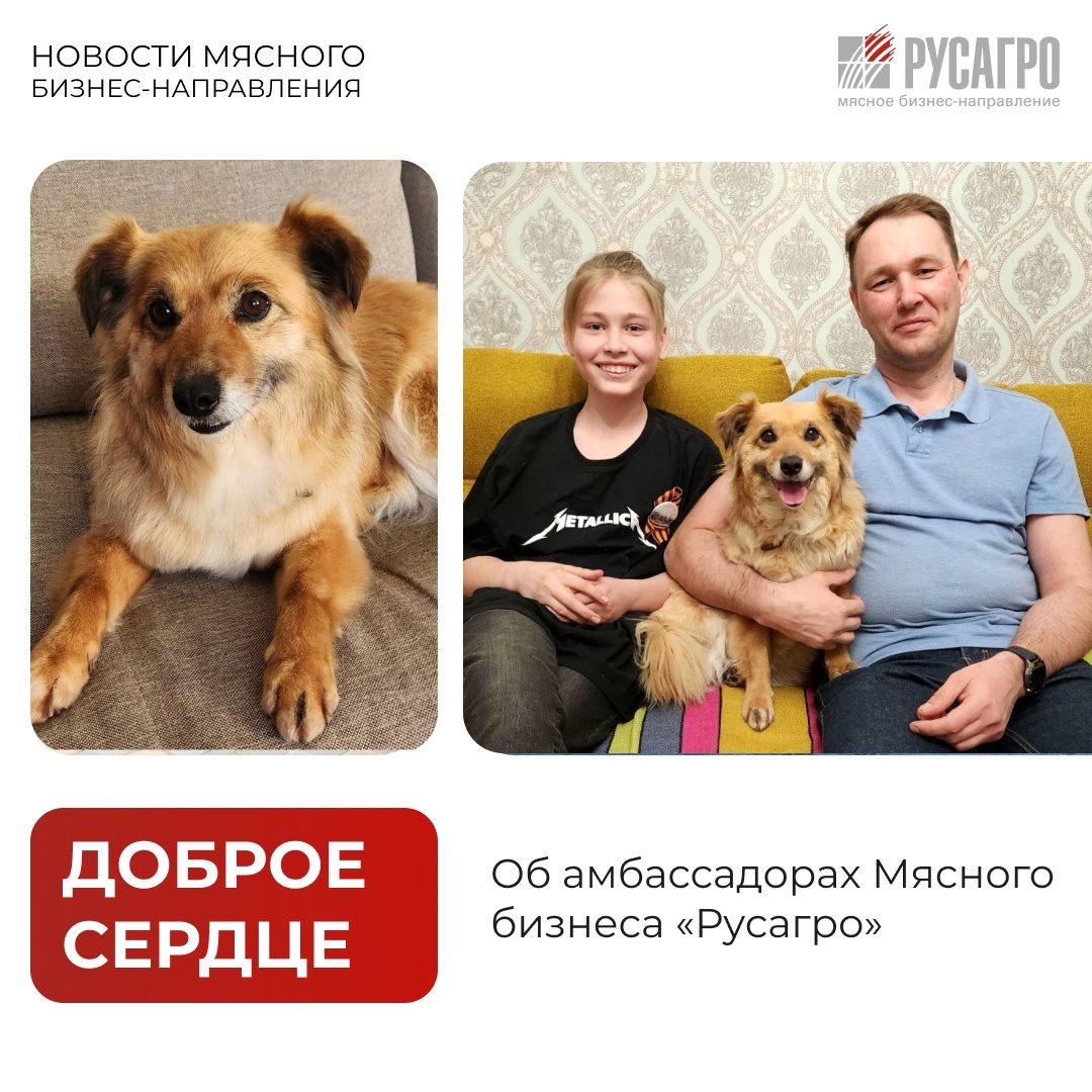 В Мясном бизнесе «Русагро» работают не только высококлассные профессионалы, глубоко погруженные в свое дело, но и люди с большим сердцем.