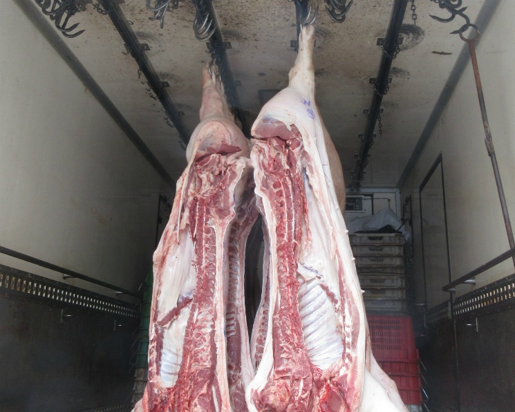 Компетенции могут стать новым направлением экспорта, особенно в такой отрасли как животноводство, рассказал на конференции «Агроинвестор: PRO животноводство и…