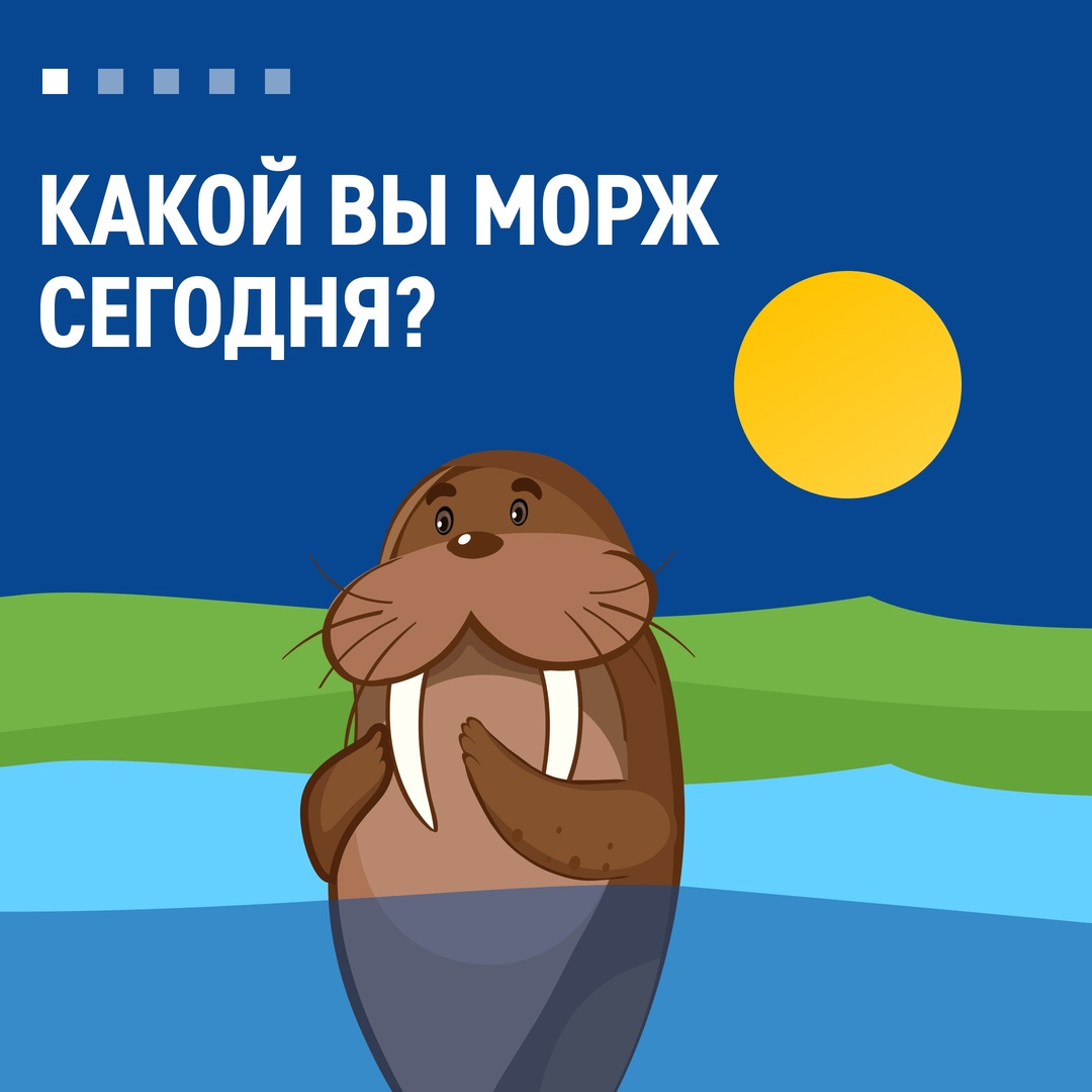 Как проходят ваши майские? Кто-то все дни работает, другие жарят шашлыки на даче, поехали в отпуск или открыли сезон летних спортивных игр — прямо как моржи с…