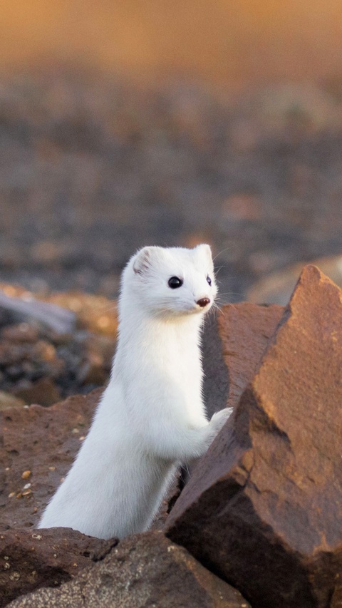 Как наслаждаться красотой каждый день?