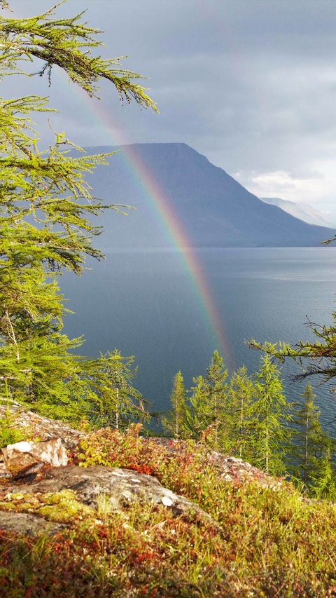 Как наслаждаться красотой каждый день?