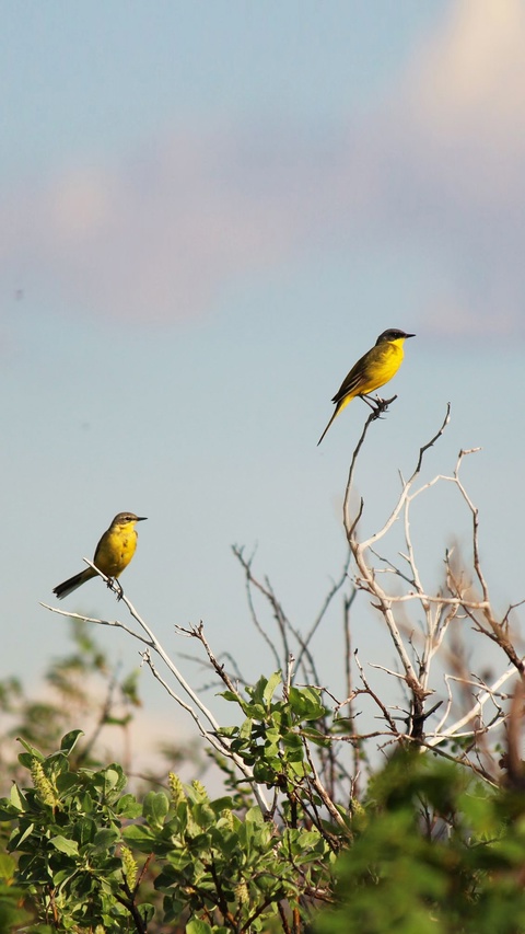 Как наслаждаться красотой каждый день?