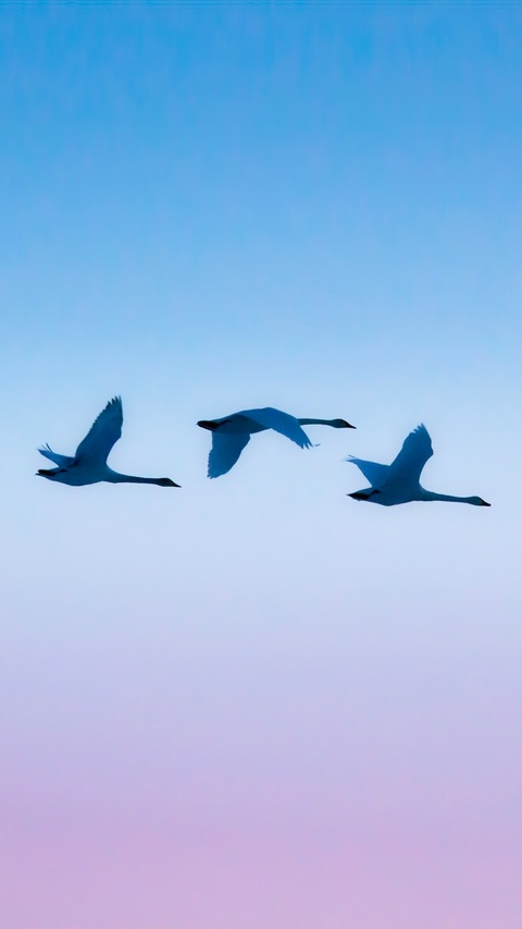 Как наслаждаться красотой каждый день?