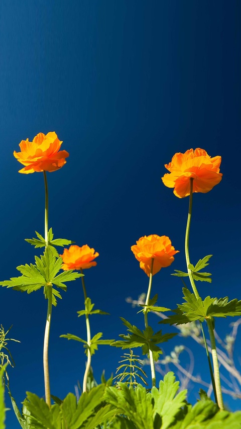 Как наслаждаться красотой каждый день?