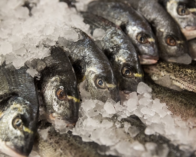 Чтобы выполнить поставленные правительством перед рыбной отраслью задачу по увеличению внутреннего потребления и экспорта, необходимо дополнительно 1,7 млн т…