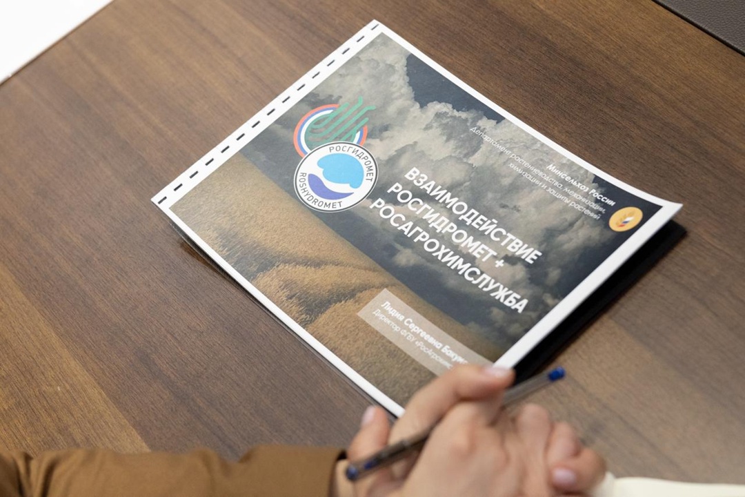 Работаем над повышением качества агрометеопрогнозов