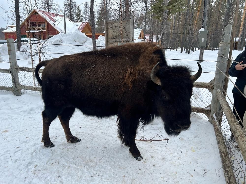 Алмазную столицу страны Мирный по праву можно назвать самым дружным городом Якутии: сегодня здесь живут и трудятся 35 тысяч человек тридцати национальностей.