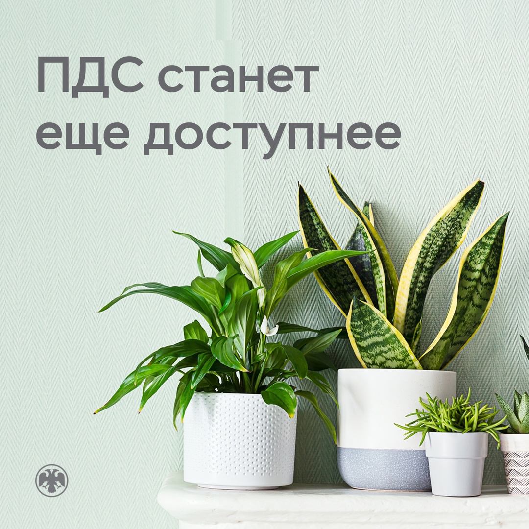 С 1 октября стать участником программы долгосрочных сбережений можно будет через Госуслуги