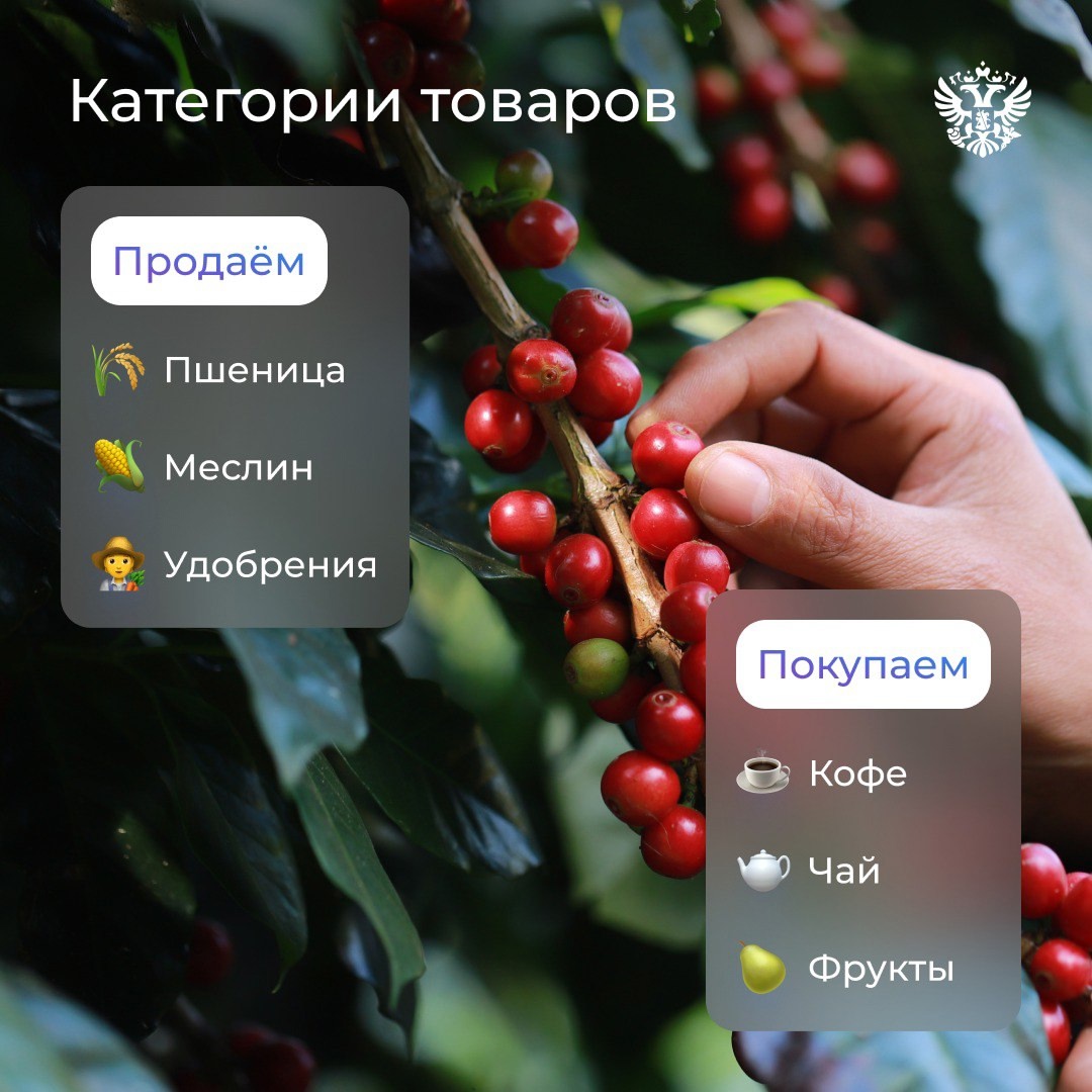 6246 км между нами и Танзанией не преграда для новых совместных проектов