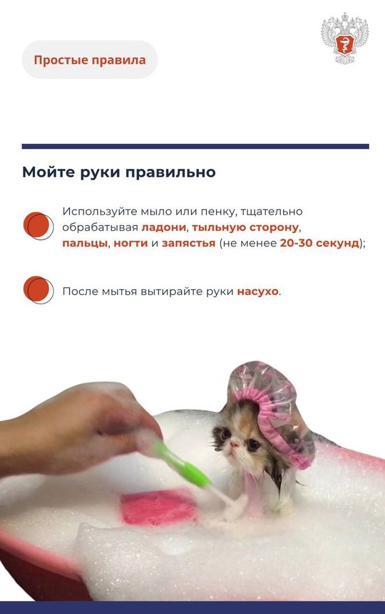 #ПростыеПравила: Как нужно мыть руки?